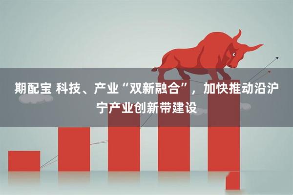 期配宝 科技、产业“双新融合”，加快推动沿沪宁产业创新带建设
