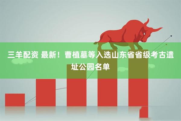 三羊配资 最新！曹植墓等入选山东省省级考古遗址公园名单